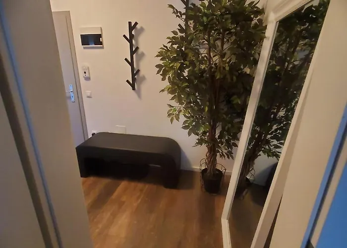 Commodores Quarters Braşov